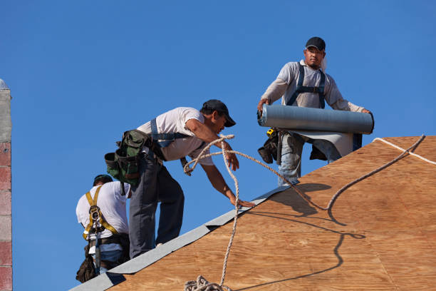 Best Metal Roofing Contractor  in Asheville, NC