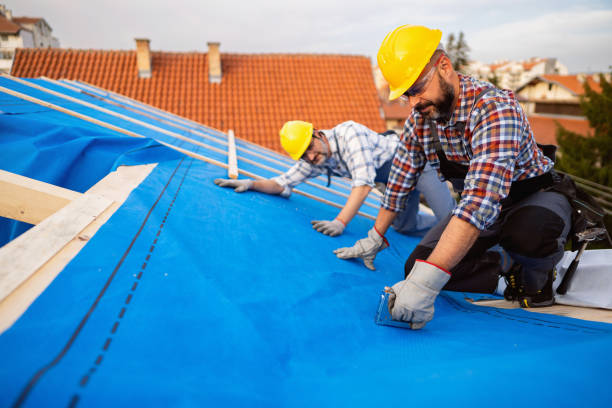 Best Sealant for Roof  in Asheville, NC